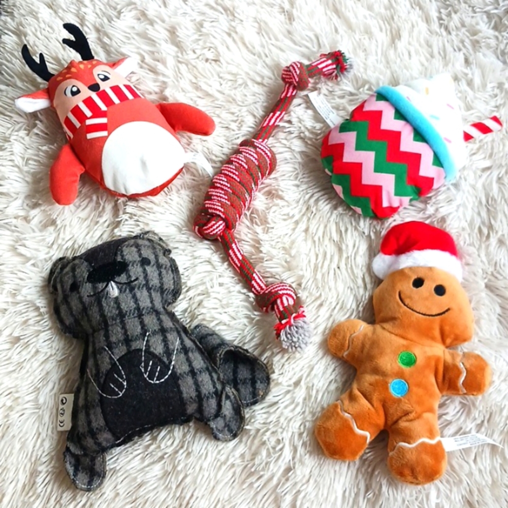 Doggie Gift Box of Toys NWOT